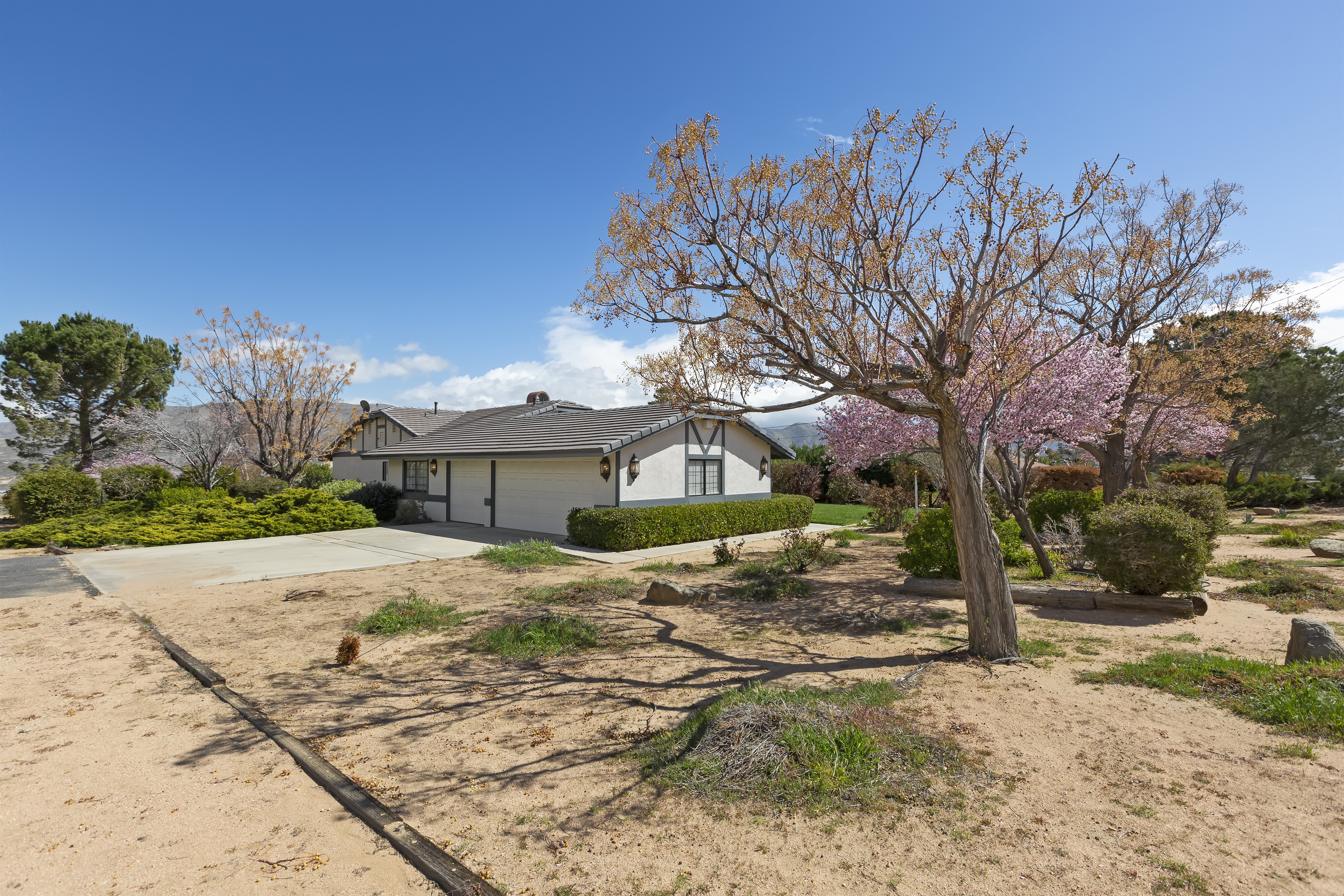 Company Thumbnail Image