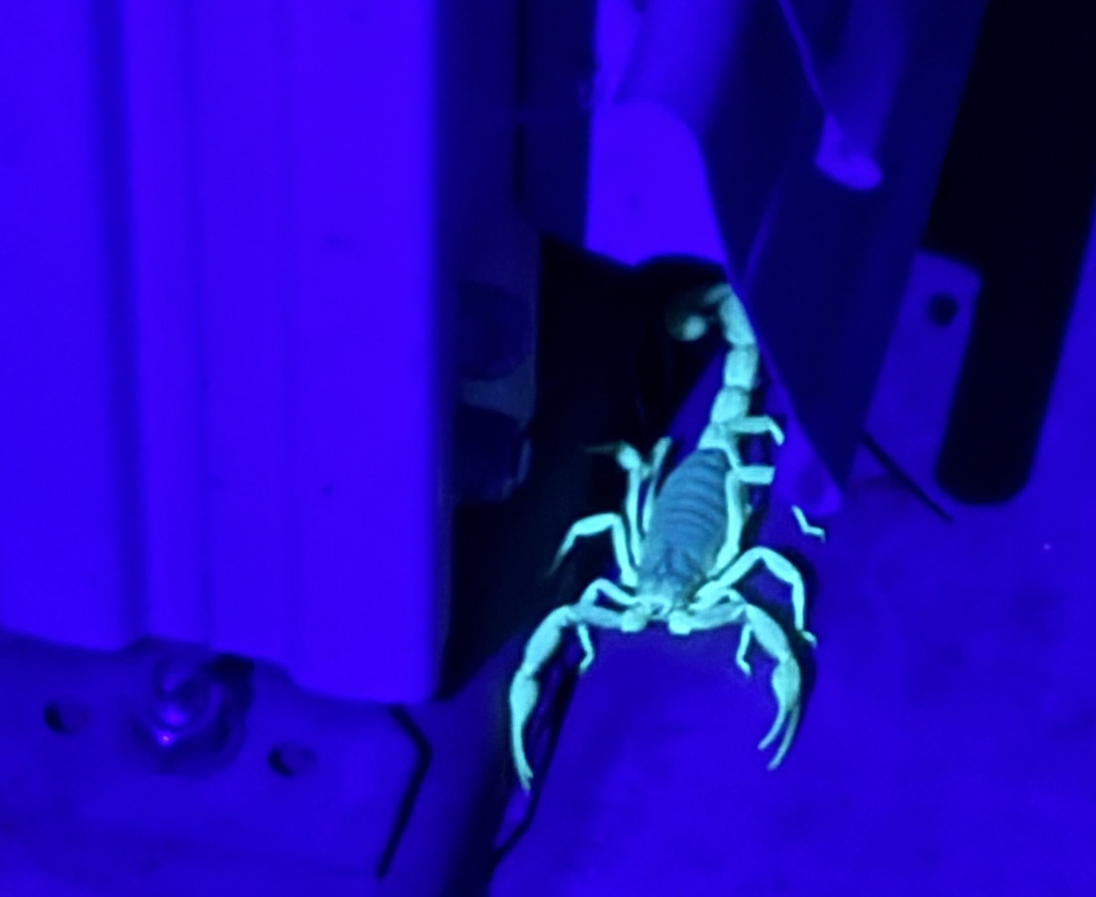 Company Thumbnail Image